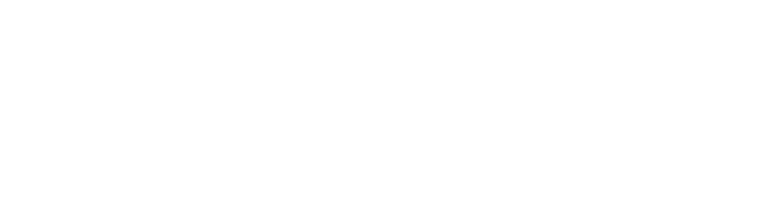 BlackNoir Capital Partners