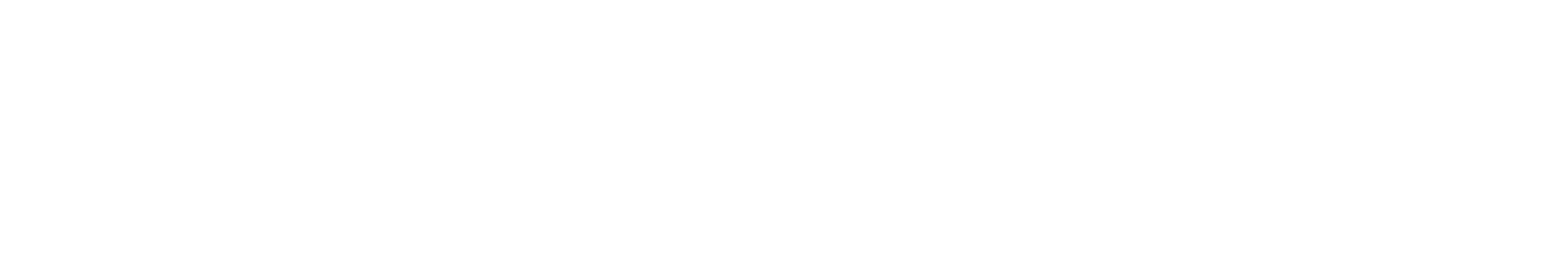 BlackNoir Capital Partners